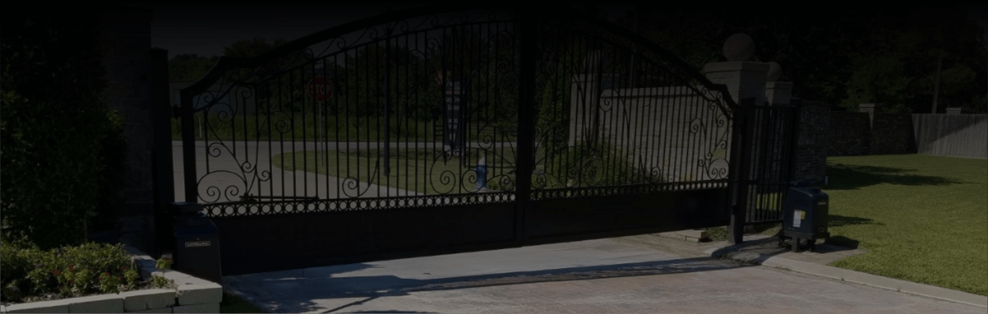 Header Image